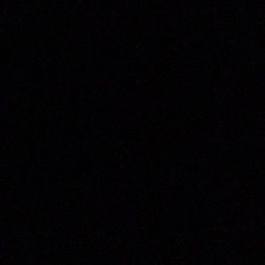 Meet your Posher, Lilly